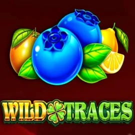 Wild Traces slot icon by Amusnet Interactive, available at SkyHills Casino